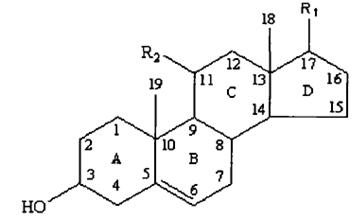 甾体化合物母核的基本结构