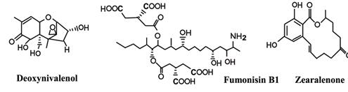 几种重要的镰刀菌真菌毒素结构图