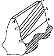 斜齿轮轮齿示意图