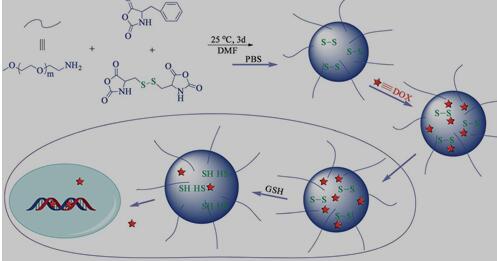 聚氨基酸纳米胶束的制备，对DOX的装载以及GSH触发释放