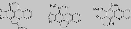 含吖啶骨架的天然生物碱