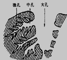 活性炭孔结构示意图